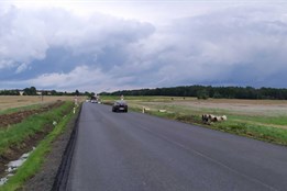 Úleva pro řidiče. Oprava silnice na hlavním tahu u Chotěšova je u...