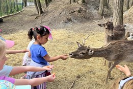 Zkuste si na jeden den práci ošetřovatele zvířátek