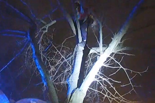 Muž se ukrýval v korunách stromů. Bál se povodní