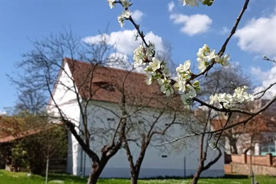 Jak přivítá máj naše město?