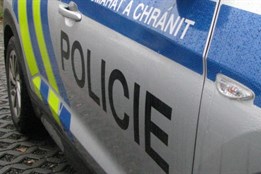 Vydával se za italského herce, zpěváka a módního návrháře. Ze žen...