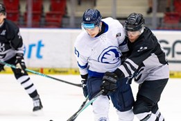 Hokejistům Plzně nevyšla generálka na začátek extraligy, derby...