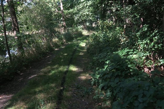 Po neznámém autě zůstala dlouhá olejová skvrna, policisté pátrají po svědcích