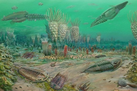 Vydejte se na cestu do pravěku