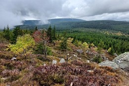 Tip na sobotu: Pochod o jáchymovský tolar