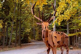 Jelen, který přivedl Karla IV. k pramenům, se vrátil do Karlových Varů