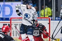 Hokejisté Plzně tříbrankové manko proti Hradci smazat nedokázali,...