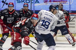 Venku září, doma se trápí. Nemyslím si, že by se nám na ledě...