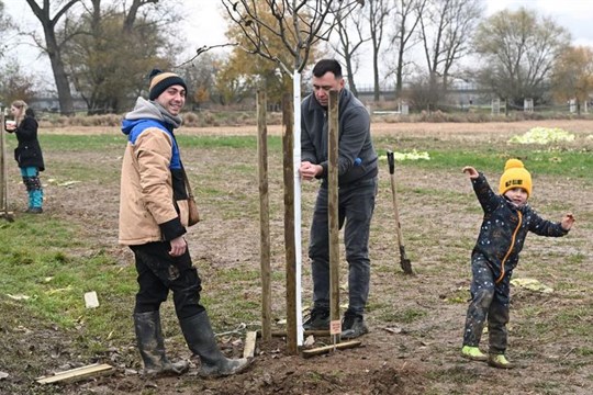 Plzeň má svoji Muzikálovou alej