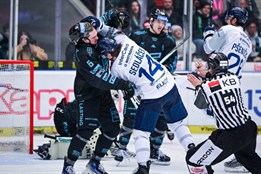 Západočeské derby zvládly lépe Karlovy Vary, Plzeň přišla kromě...