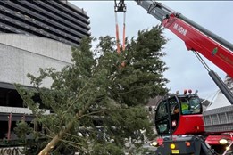 Karlovy Vary mění vánoční strom. Původní má polámané větve