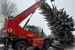 Karlovy Vary mají nový vánoční strom: Smrk z Tuhnic nahradil...