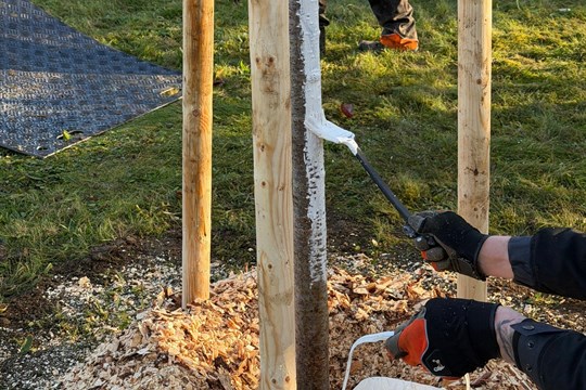 Centrální obvod pokračuje v rozsáhlé výsadbě stromů