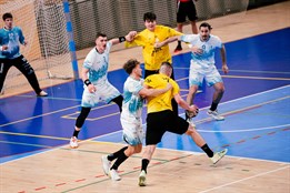 Házenkářská bašta v novém. Novou moderní halu na Borských polích do...