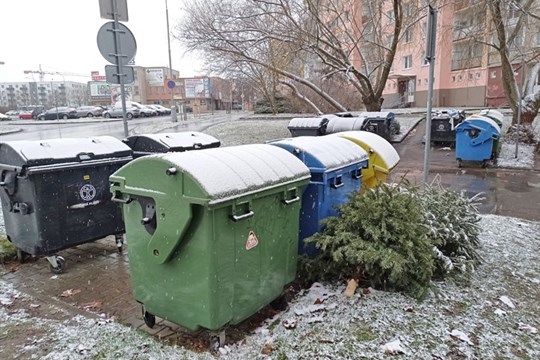 Kam s vánočními stromky? Odkládejte je k popelnicím na tříděný odpad, vzkazuje plzeňská radnice