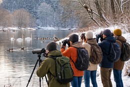 Světový den mokřadů: Vydejte se na procházku okolo Berounky