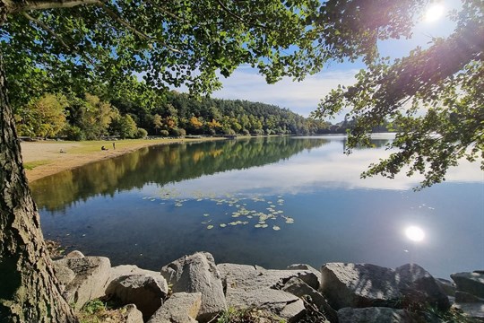 Plzeň za sedm milionů korun odbahní Malý Bolevecký rybník