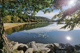 Plzeň za sedm milionů korun odbahní Malý Bolevecký rybník