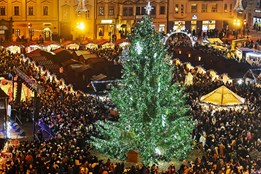 Na náměstí Republiky už září vánoční strom, je jím 14 metrů vysoký...