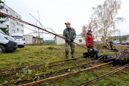 Boj s horkem i krásnější město: Plzeňané vysadí 200 stromů s...