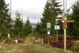 Tetřev vyhrál nad turisty. Bitva o otevření Modrého sloupu se vrací na začátek