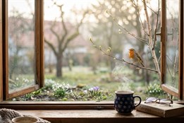 Návrat ptačího zpěvu: Kdo nás to ráno budí a proč nám to dělá tak...