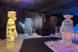 Výstava ledových večerníčku v muzeu Depo Moto Art pokračuje