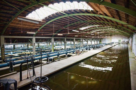 Plzeň opraví budovu Puech-Chabalovy filtrace vody, technický unikát má 100 let