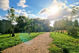 Sokolov slaví: Studentská alej a Stromokruh se staly Alejí roku...