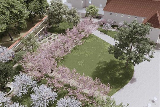 Zelená oáza v centru města: Kapucínské zahrady čeká velká proměna